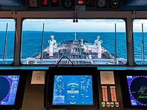 Custom Computer Solutions in Marine Ship Equipment